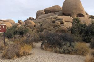Skull Rock Nature Trail, Riverside County, California, United States