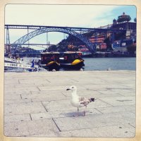 Photo taken at Cais da Estiva 94-95, 4050-492 Porto, Portugal with Hipstamatic 262