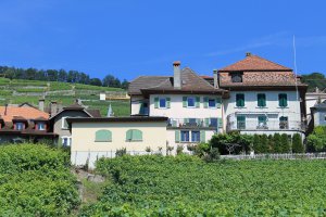 Photo taken at Chemin du Calamin, 1096 Puidoux, Switzerland with Canon EOS 1100D