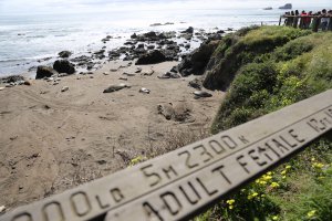 Photo taken at Cabrillo Hwy, San Simeon, CA 93452, USA with Canon EOS 6D