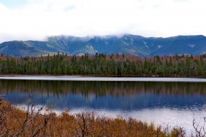 Appalachian Trail, Franconia, NH 03580, USA