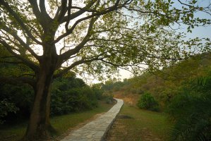 Photo taken at Yuen Tsuen Ancient Trail, Ting Kau, Hong Kong with NIKON D80