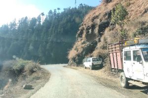 Jhuari, Sarain, Chaupal, Shimla, Himachal Pradesh, India