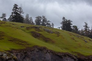 Photo taken at 245 Spieden View Lane, Friday Harbor, WA 98250, USA with Canon EOS 6D