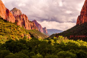 Photo taken at Zion National Park, Emerald Pools Trail, Hurricane, UT 84737, USA with RICOH K-3