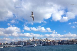 Kemankeş Karamustafa Paşa Mahallesi, Galata Köprüsü, Beyoğlu/İstanbul, Turkey