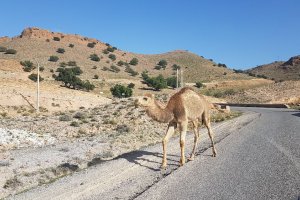 Photo taken at R105, Morocco with Samsung SM-G935F