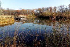 Photo taken at Chemin de Mennesy, 1233 Bernex, Switzerland with NIKON COOLPIX P100