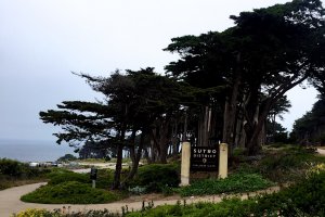 545 Point Lobos Avenue, San Francisco, CA 94121, USA