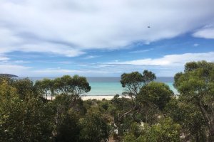 De Couedie Dr, Island Beach SA 5222, Australia