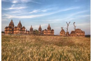 Chhatris, NH539, Orchha, Tikamgarh, Madhya Pradesh, 472246, India