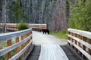 Photo taken at Kettle Valley Rail Trail, Naramata, BC V0H 1N0, Canada with Canon EOS 6D