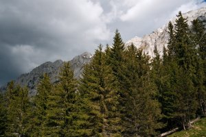 Photo taken at Piatra Craiului, Plaiul Foii Spirlea, Romania with Canon EOS 40D