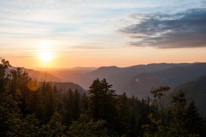 Wawona Road, YOSEMITE NATIONAL PARK, CA 95389, USA