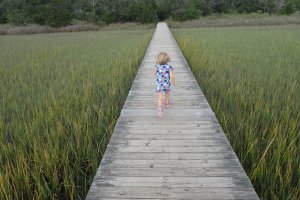 Osprey Point, Charleston, SC 29412, USA