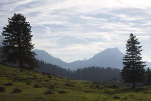 Photo taken at Schwägalp 790, 9107 Urnäsch, Switzerland with Canon EOS 1100D