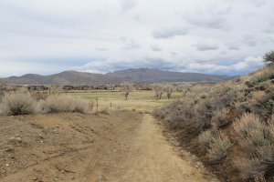 Photo taken at Humboldt-Toiyabe National Forest, 2067 Canterbury Lane, Carson City, NV 89703, USA with Canon EOS 1100D