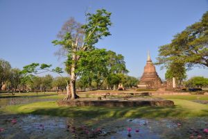 Photo taken at 1113, Tambon Mueang Kao, Amphoe Mueang Sukhothai, Chang Wat Sukhothai 64210, Thailand with NIKON D90