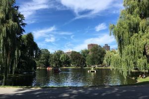 Photo taken at The Lagoon, Public Garden Path, Chinatown, Beacon Hill, Boston, Suffolk County, Massachusetts, 02116, USA with Apple iPhone SE