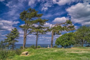 Photo taken at 54 Boulevard de la Garde, 22380 Saint-Cast-le-Guildo, France with SONY ILCE-6000