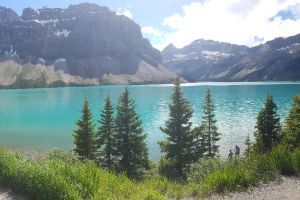 Bow lake, Icefields Parkway, Alberta, Canada