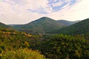 Photo taken at D558, 83680 La Garde-Freinet, France with NIKON D3S