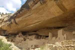 Cliff Palace, Cliff Palace Trail, Montezuma County, Colorado, 81330, United States