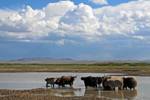 Photo taken at Khogno Tarna, Unnamed Road, Mongolia with NIKON D200