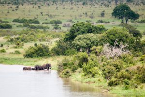 Mlondozi Picnic Road, Kruger Park, South Africa