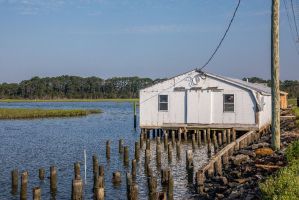 Photo taken at Quinby Bridge Road, Mappsburg, Quinby, Accomack County, Virginia, 23423, United States with Canon EOS 5D Mark IV