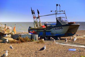 Photo taken at Crag Path, Aldeburgh, Suffolk IP15, UK with Panasonic DMC-TZ10