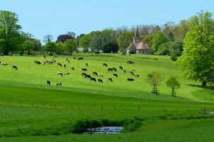 Studd Drive, Barnstaple, Devon EX32, UK