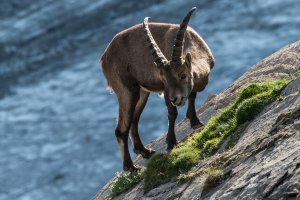 Photo taken at Hohe Tauern National Park, Winkl 38, 9844 Winkl, Austria with NIKON D800