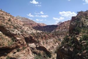 Canyon Overlook, Zion Lodge, Washington County, Utah, USA