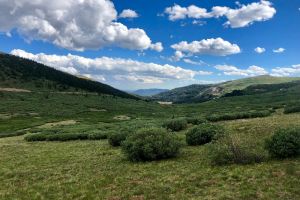 Photo taken at Guanella Pass Road, Clear Creek County, Colorado, 80476, USA with Apple iPhone 8 Plus