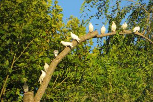 Avenida Fray Albino, 21, 14009 Córdoba, Córdoba, Spain