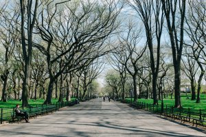 Photo taken at 307 The Mall, New York, NY 10019, USA with FUJIFILM X100T