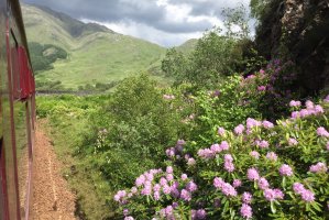 Photo taken at Glenfinnan PH37 4LT, UK with Apple iPhone 6