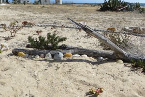 Photo taken at Ria Formosa, Rua Formosa 17, 8000 Faro, Portugal with Canon PowerShot SX260 HS