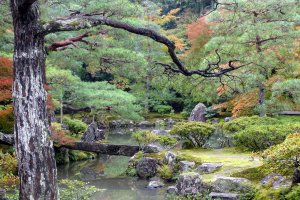 Photo taken at 2 Ginkakujichō, Sakyō-ku, Kyōto-shi, Kyōto-fu 606-8402, Japan with SONY DSC-HX50V