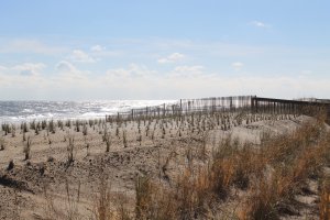 Photo taken at 97-99 Garfield Parkway, Bethany Beach, DE 19930, USA with Canon EOS 1100D