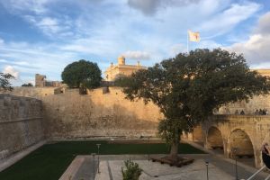 Mdina, Northern Region, MDN 1011, Malta