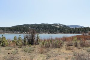 Photo taken at National Forest Development Road 038, Carson City, NV 89703, USA with Canon EOS 1100D