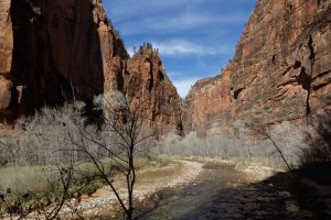 Photo taken at Riverside Walk, Springdale, UT 84767, USA with Canon EOS 5D Mark III