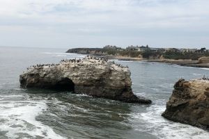 Photo taken at West Cliff Drive, Lighthouse/West Cliff, Santa Cruz, Santa Cruz County, California, 95061, United States with Apple iPhone 8 Plus