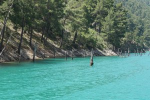 Sinanhoca Köyü Yolu, 07630 Sinanhoca Köyü/Akseki/Antalya, Turkey