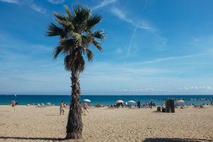 Photo taken at Carrer de Guítert, 61, 08003 Barcelona, Barcelona, Spain with FUJIFILM X100S