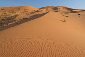 ad-Dahna Desert, Al Ahsa Governorate, Eastern Province, Saudi Arabia
