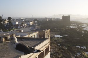 Rue Skala, Essaouira, Morocco