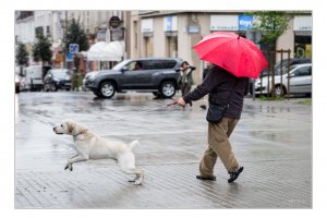 Photo taken at Rue du Président de Gaulle, 85000 La Roche-sur-Yon, France with Canon EOS 6D